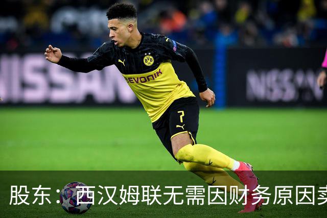 股东：西汉姆联无需因财务原因卖核心球员，要以最快速度重返英超
